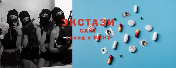 СК Алексин