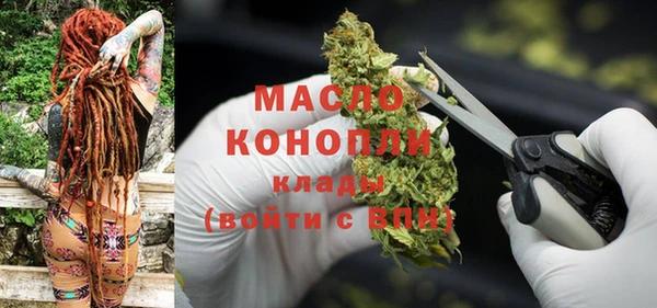 СК Алексин