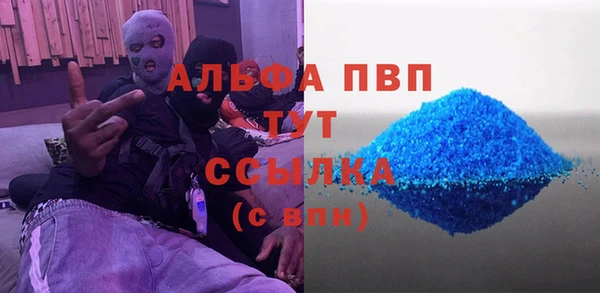 СК Алексин