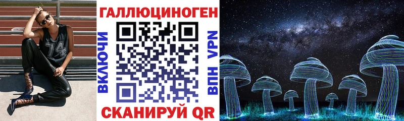 что такое   Буй  OMG как зайти  Псилоцибиновые грибы Psilocybine cubensis 